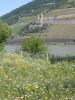 Castle ruin Stahleck Castle ruin Stahleck